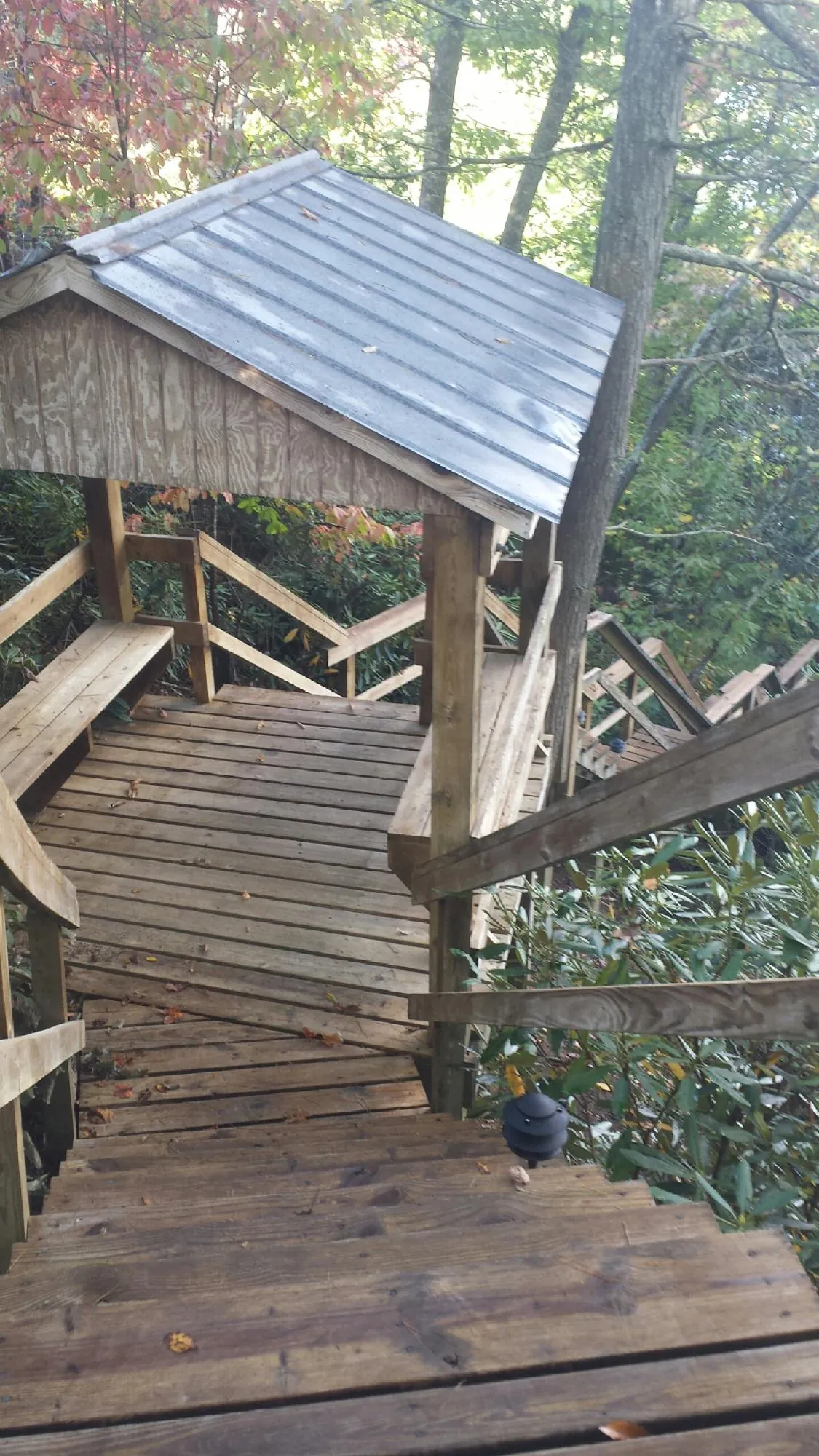 Metal roofed shelter over wooden steps on a wooded walkway — Skylight Repair & Installation work by our crew in Hollow Rock